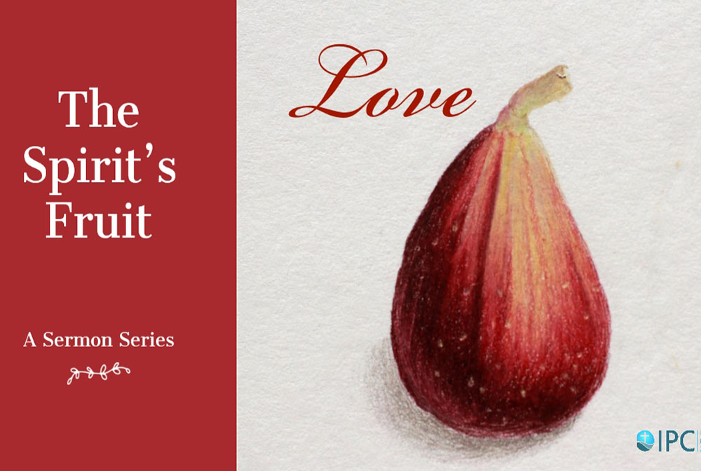 The Spirit's Fruit